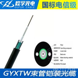 解读GYXTW-12B1.3光缆 12芯单模室外中心竖管式单铠装光缆的技术特性与应用