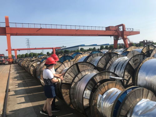 光缆铸梦 不畏骄阳，C位出道